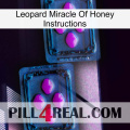 Leopard Miracle Of Honey Instructions 03